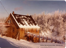 Moulin des Arts sous la glace