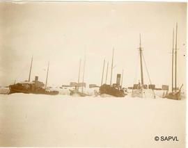 Cinq navires en hivernage (Constance, La Corporation, Lord Stanley, G.T.D. et Blanche Alma)