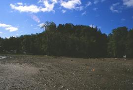 Anse du Vieux Moulin 8