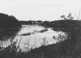 Rivière Etchemin (hauteur Saint-Henri de Lévis)