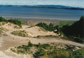 Anse du Vieux Moulin 3 (extrémité nord de la sablière)